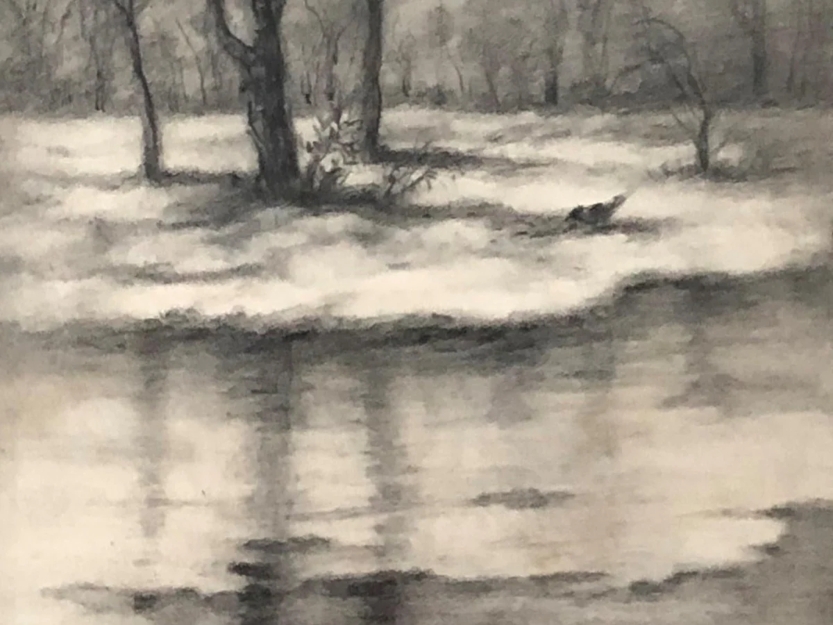 הדגמה לפקודה /charcoal