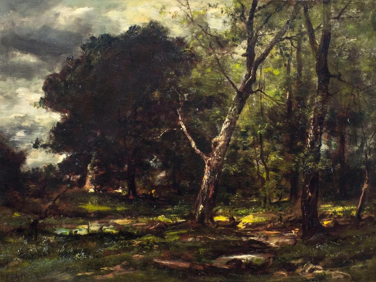 הדגמה לפקודה /oilpainting