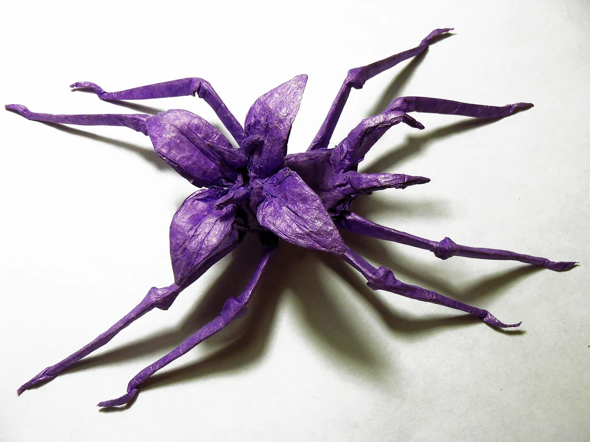 הדגמה לפקודה /origami