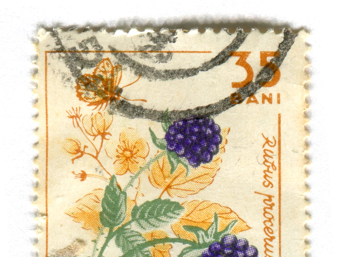 הדגמה לפקודה /stamp